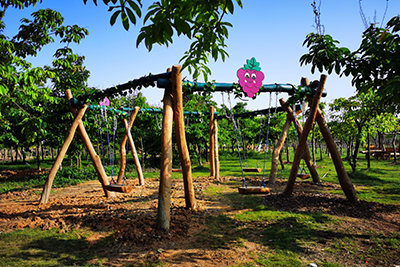 ��(j��ng)���(xi��ng)Ŀ