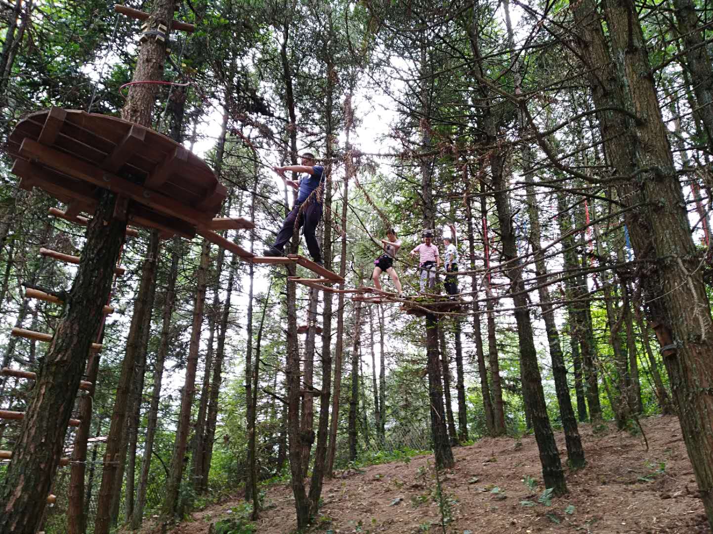 1751099037798915.jpg 1751099037798915.jpg