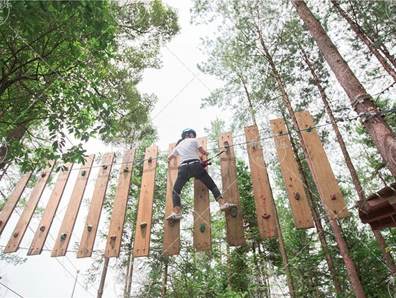 1769220481453201.jpg 叢林探險(xiǎn) (2).jpg