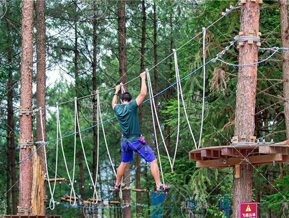 1769220503314322.jpg 叢林探險(xiǎn) (3).jpg